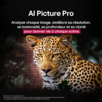 LG,OLED,TV,LED,QLED,TANDEM,EVO,4K,8K,UHD LG,OLED,TV,LED,QLED,TANDEM,EVO,4K,8K,UHD